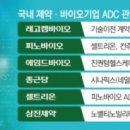 K.B바이오 이미지