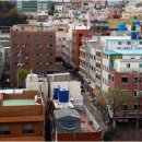 완월동162 이미지