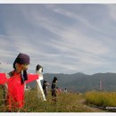 허수아비 이미지