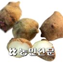 진전농협 하나로마트 이미지