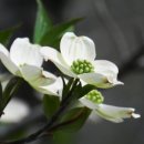 일과 이분의일 이미지