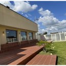 똥강아지애견 이미지