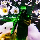 에어로폰 이미지