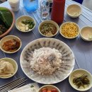 왔다회초장 이미지