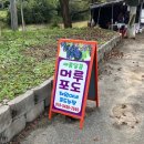 채원농장 | 🚶‍♀️ ③ 천안 → 세종 : 도보여행 2일차! 42km 완주기