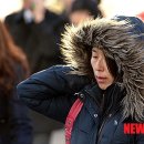 사자머리 뉴시스