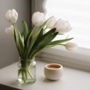 스텔라여성의원 이미지