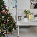 교육문화회관(본관) | 전주교육문화회관 방문 &amp; 낭만독서모임 후기 / 윤동주 친필원고 선물과 함께한 따뜻한 하루