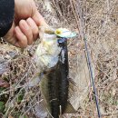 빨리쎌프 이미지