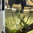 해리아쿠아 이미지