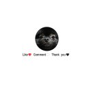 펫리셔스(petlicious) 네이버블로그