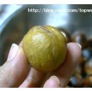 성우2농장 이미지