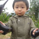 곤이 농장 이미지