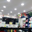 남창애견샵 복실강아지 이미지