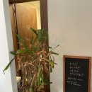 플렌터(Planter) 이미지