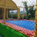 계명대 박사 현대태권도 이미지