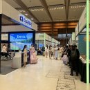 올댓 트래블 참가 후기