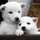 남도석성 이미지