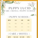 퍼피루시드 이미지