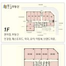 폴리프라자1 이미지