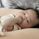 울산핵주먹 네이버블로그