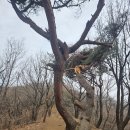 청계사입구 삼거리 | ^ 청계산(과천) / 250301/토/ 2511