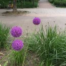 초민의원 이미지