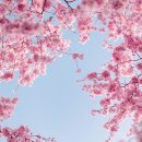 오리셀프주유소 이미지