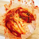 청양초등학교 | 비비고김치 국산 포기 배추김치추천 필동가 해남재 안동헌 지역 맛 비교 후기