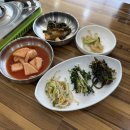 나무와나무 | [강화도 맛집] 정갈한 밑반찬까지 완벽한 현지인 추천 칼국수 맛집 | 느릅나무 내돈내산 후기