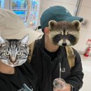 일출로5-L 이미지