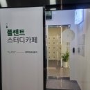 플랜트스터디카페원주반곡라운지 네이버블로그