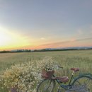 인생여행 이미지