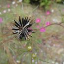 비우고채움 이미지