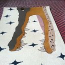 카페트세탁 스팀지니 이미지