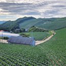 경강로/올림픽로 이미지