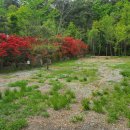 명봉산솔밭관광농원오토캠핑장 이미지