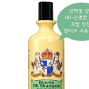 지오디독 네이버블로그