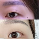 신사역 속눈썹 펌/연장 잘하는 곳 [빈스 부티크] - 속눈썹 펌 후기