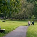 마음의 산책3 이미지