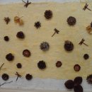 국립방장산자연휴양림 이미지