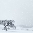 서정목장 이미지