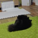 (주)우림바이오 | 8월 일상(3)-병원 안녕,무화과시루만들기,더샵갤러리,더현대&amp;북촌&amp;망원나들이