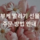 플레뉴이
