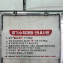 장태산농장 | [대전] 대전 장태산 현주네 딸기농장 딸기체험 후기