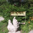 청강농원 이미지