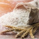 프리짐 휘트니스 이미지