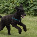 무지개다리 이미지