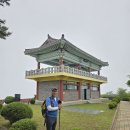 대나루