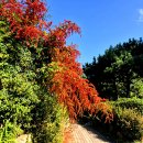 명덕호수공원 이미지